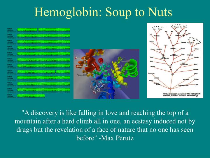 hemoglobin soup to nuts