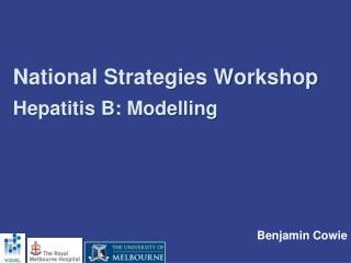 National Strategies Workshop Hepatitis B: Modelling