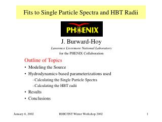 Fits to Single Particle Spectra and HBT Radii