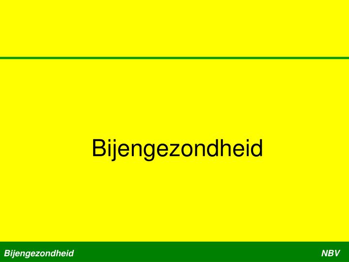 b ijengezondheid