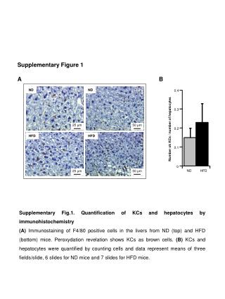 Supplementary Figure 1