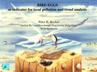 BIRD EGGS as indicator for local pollution and trend analysis