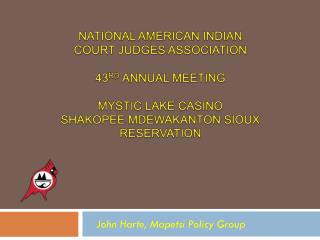 John Harte, Mapetsi Policy Group