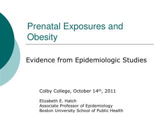 Prenatal Exposures and Obesity