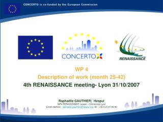 WP 4 Description of work (month 25-42) 4th RENAISSANCE meeting- Lyon 31/10/2007