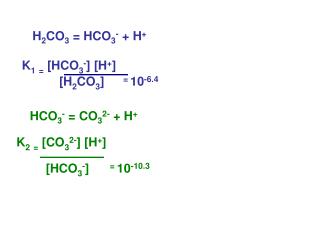 K 1 = [HCO 3 - ] [H + ]