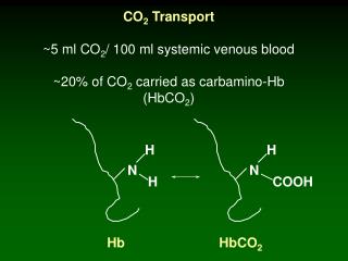 CO 2 Transport ~5 ml CO 2 / 100 ml systemic venous blood ~20% of CO 2 carried as carbamino-Hb