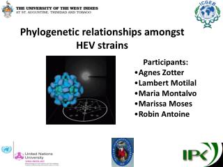 Phylogenetic relationships amongst HEV strains