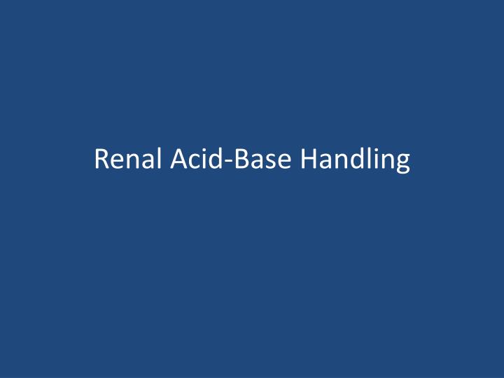 renal acid base handling