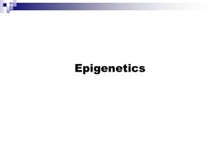 Epigenetics