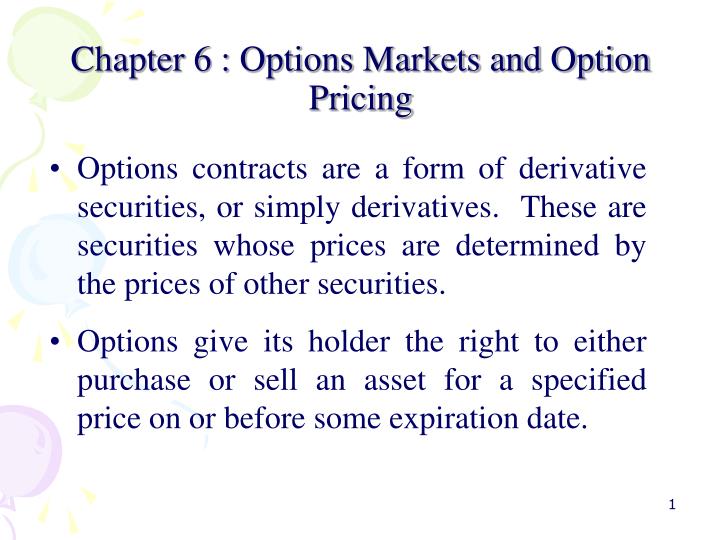 chapter 6 options markets and option pricing