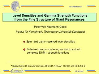 Level Densities and Gamma Strength Functions from the Fine Structure of Giant Resonances