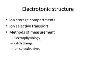 Electrotonic structure