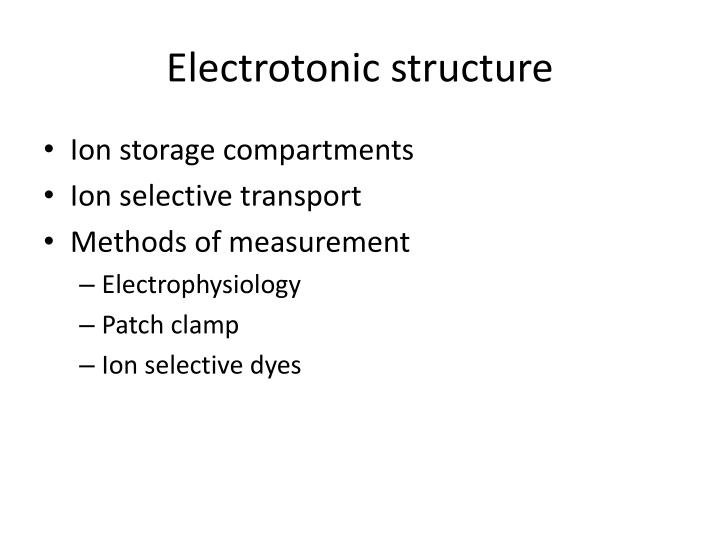 electrotonic structure