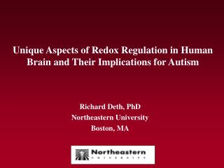 Unique Aspects of Redox Regulation in Human Brain and Their Implications for Autism