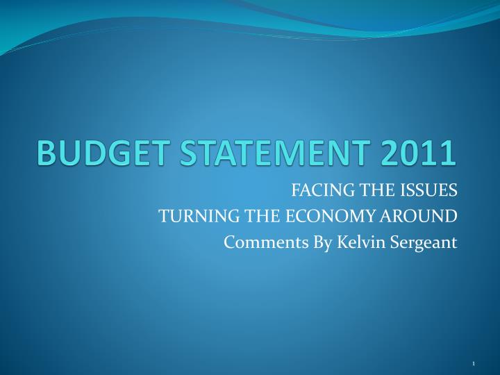 budget statement 2011