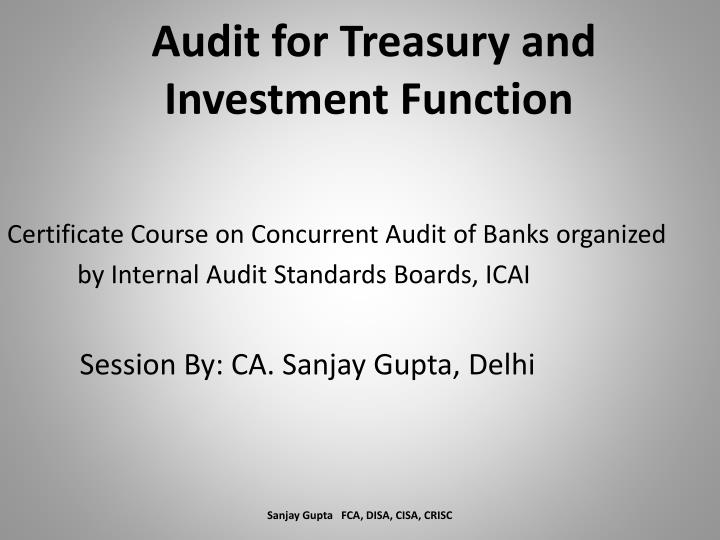 audit for treasury and investment function
