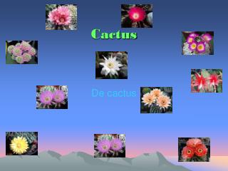 cactus