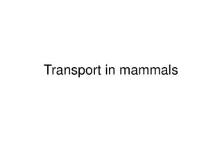 Transport in mammals