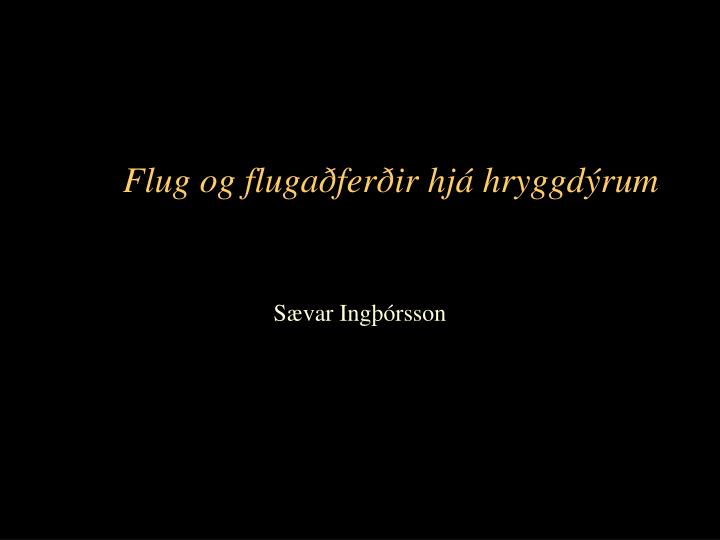 flug og fluga fer ir hj hryggd rum