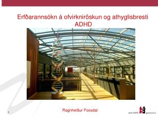 Erfðarannsókn á ofvirkniröskun og athyglisbresti ADHD
