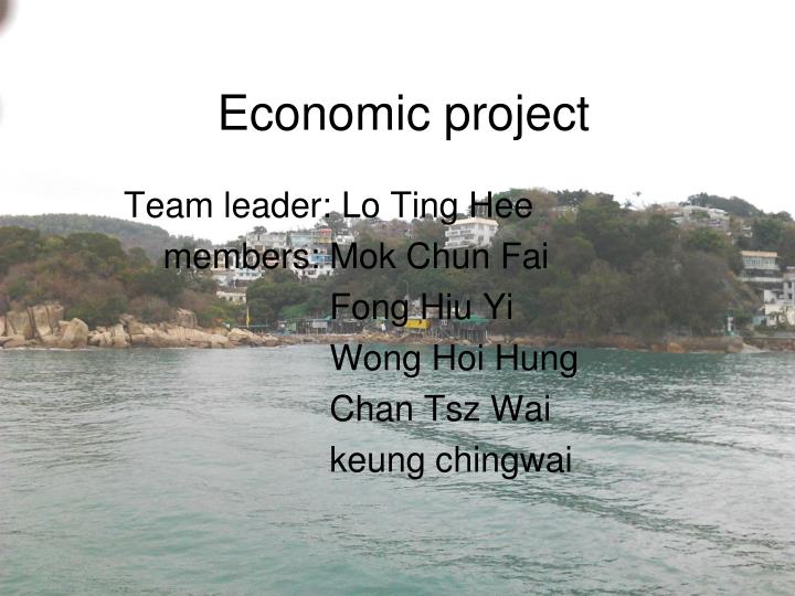 economic project