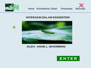 interaksi dalam ekosistem