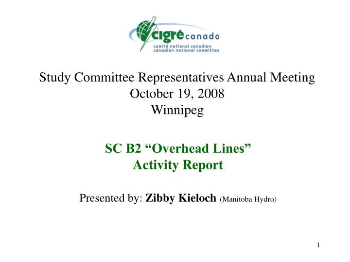 study committee representatives annual meeting october 19 2008 winnipeg