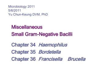 Miscellaneous Small Gram-Negative Bacilli