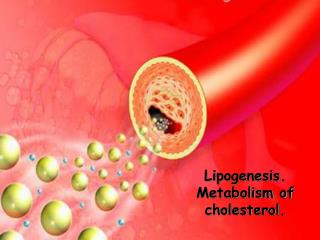 Lipogenesis . Metabolism of cholesterol.