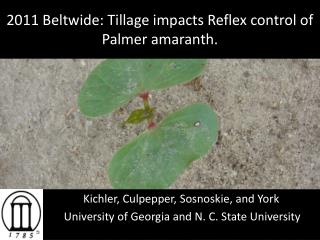 2011 Beltwide: Tillage impacts Reflex control of Palmer amaranth.