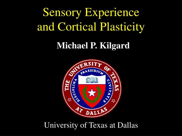 sensory experience and cortical plasticity