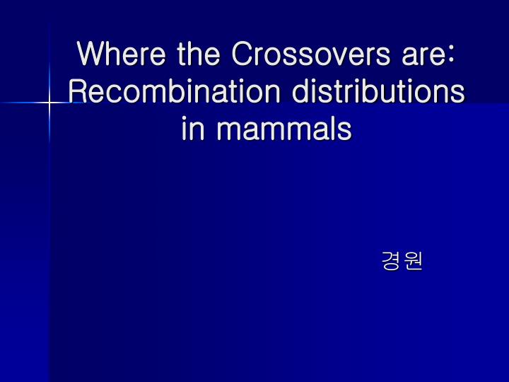 where the crossovers are recombination distributions in mammals