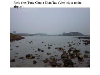 Field site: Tung Chung Shan Tau (Very close to the airport)