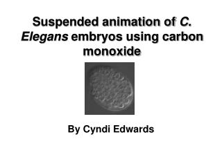 Suspended animation of C. Elegans embryos using carbon monoxide