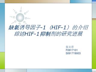 1 hif 1 hif 1