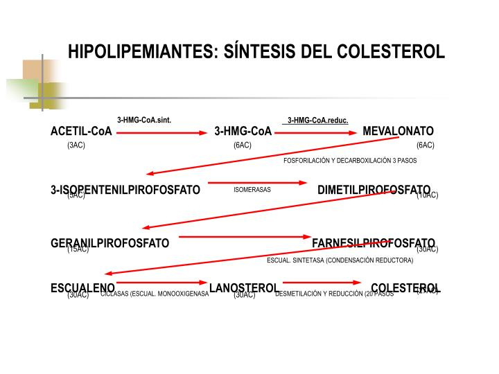 hipolipemiantes s ntesis del colesterol