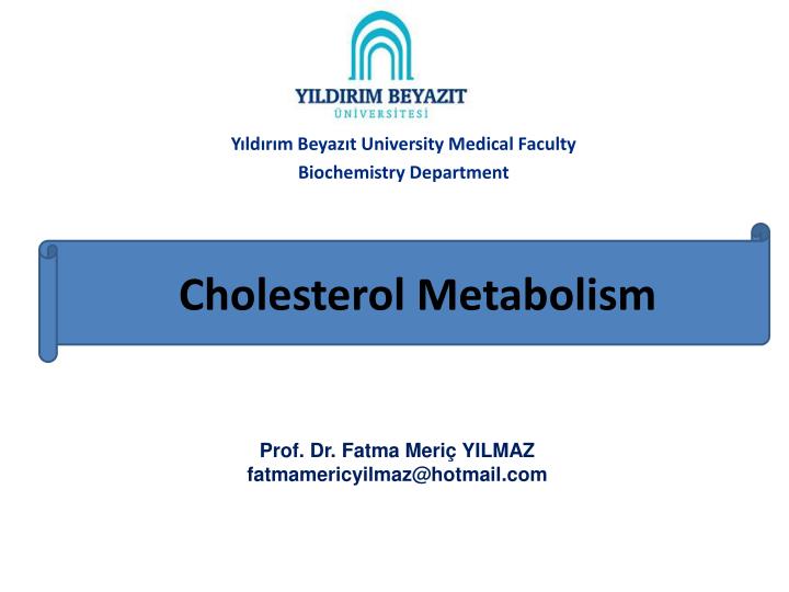 cholesterol metabolism