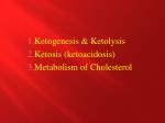 Ketogenesis &amp; Ketolysis Ketosis ( ketoacidosis ) Metabolism of Cholesterol