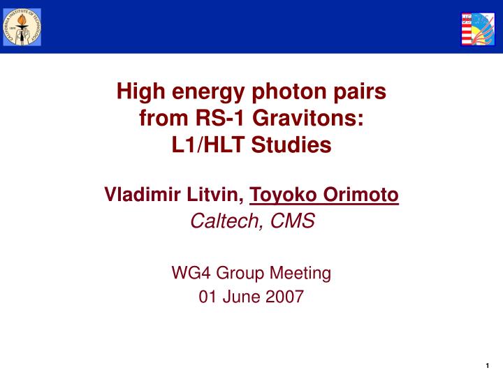 vladimir litvin toyoko orimoto caltech cms wg4 group meeting 01 june 2007