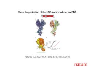 V Chandra et al. Nature 000 , 1-5 (2013) doi:10.1038/nature11966