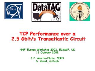 TCP Performance over a 2.5 Gbit/s Transatlantic Circuit