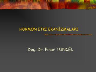 hormon etk ekan zmalari