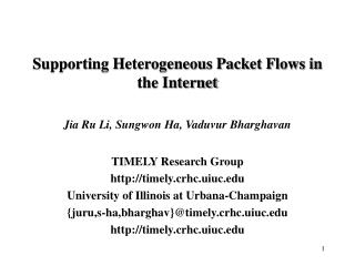 Supporting Heterogeneous Packet Flows in the Internet