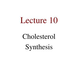 lecture 10