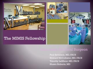 The MIMIS Fellowship