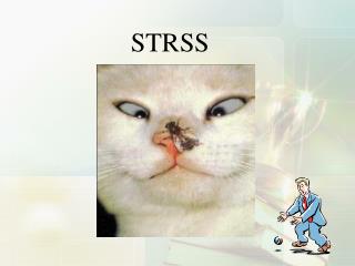 STRSS