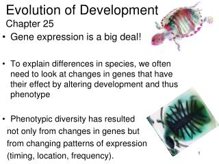 Gene expression is a big deal!