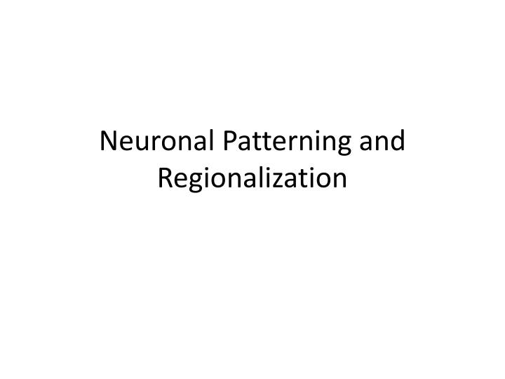neuronal patterning and regionalization