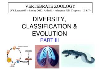 DIVERSITY, CLASSIFICATION &amp; EVOLUTION PART III